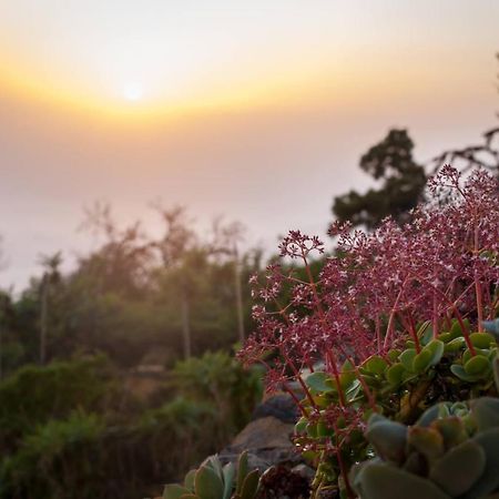 Arecida Casa Barrerosヴィラ エクステリア 写真