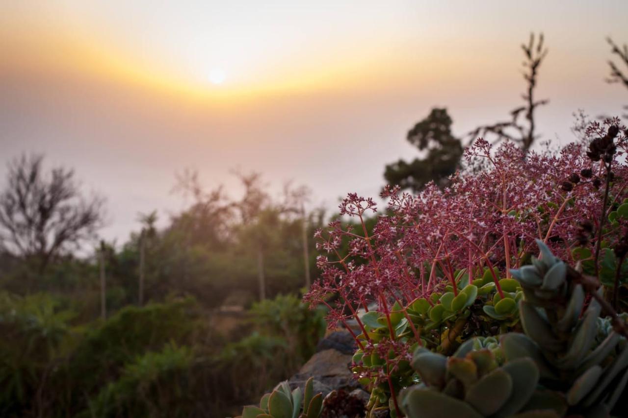 Arecida Casa Barrerosヴィラ エクステリア 写真